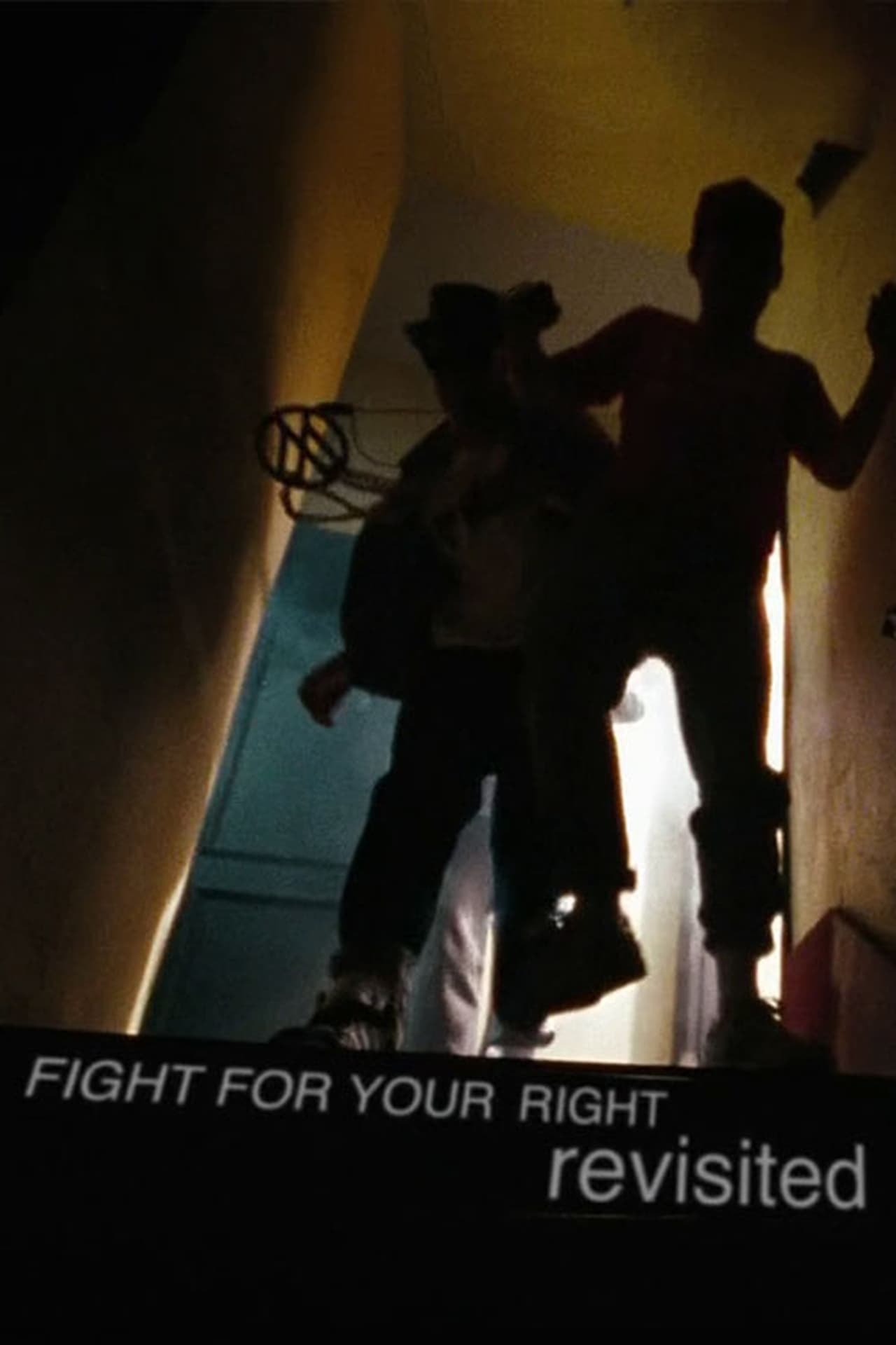 Fight For Your Right Revisited