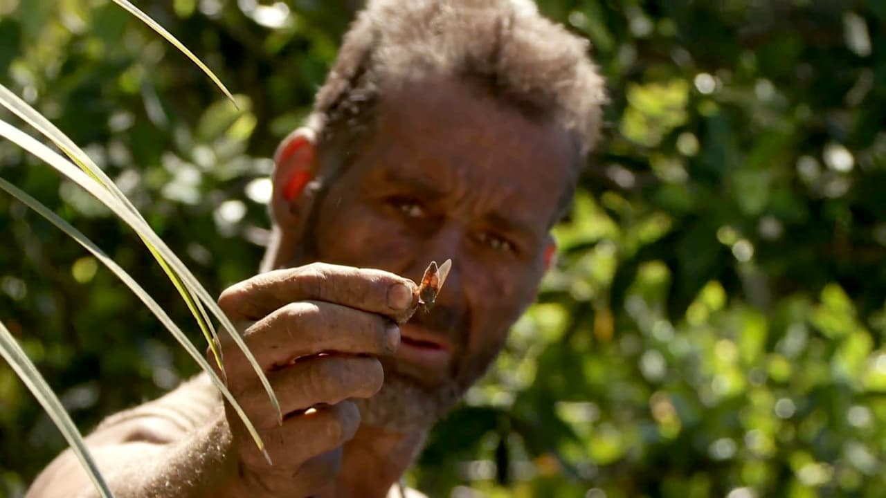 Naked and Afraid - Season 0 Episode 23 : Special: Eaten Alive