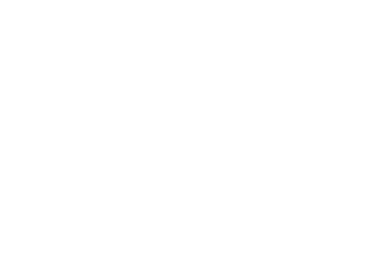 Silk Belt