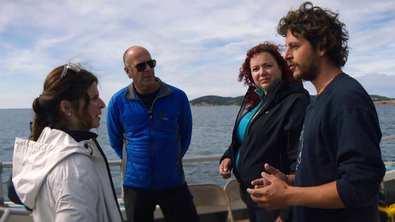 Un homme à la mer — Episode 4