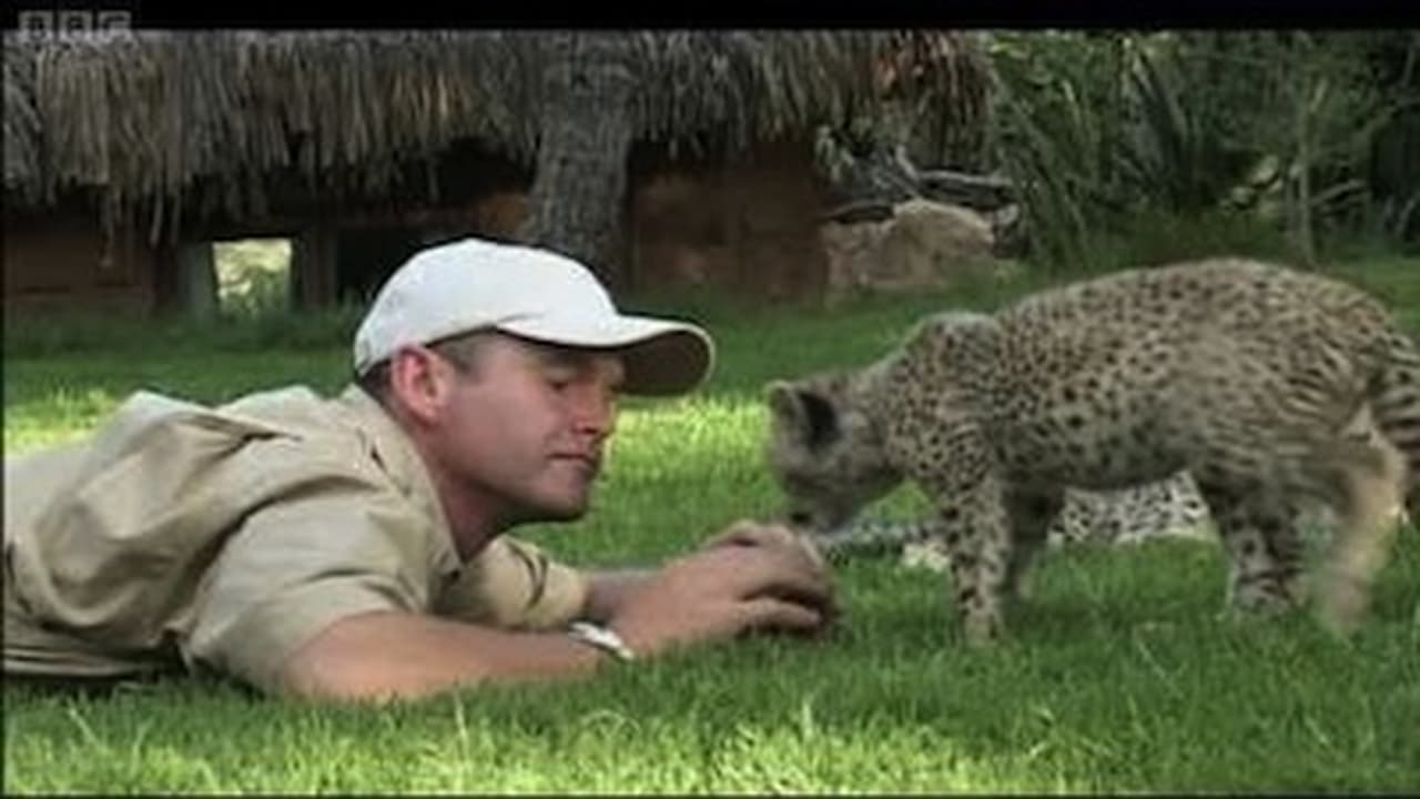 Natural World - Season 23 Episode 1 : Cheetahs: Fast Track to Freedom