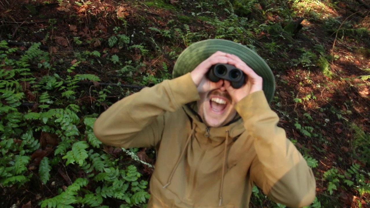 In The Land of Fish and Honey backdrop