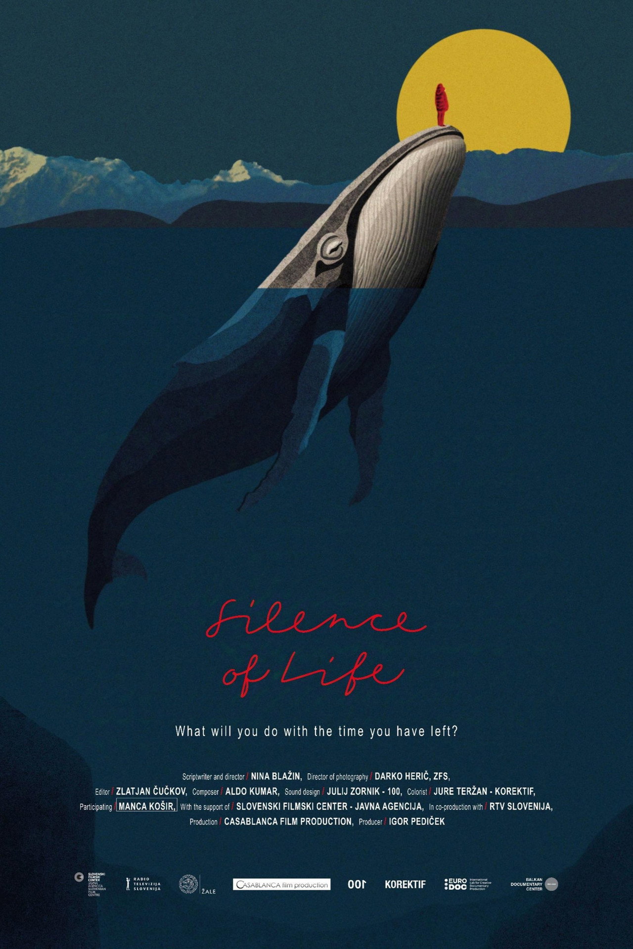The Silence of Life filmaffisch