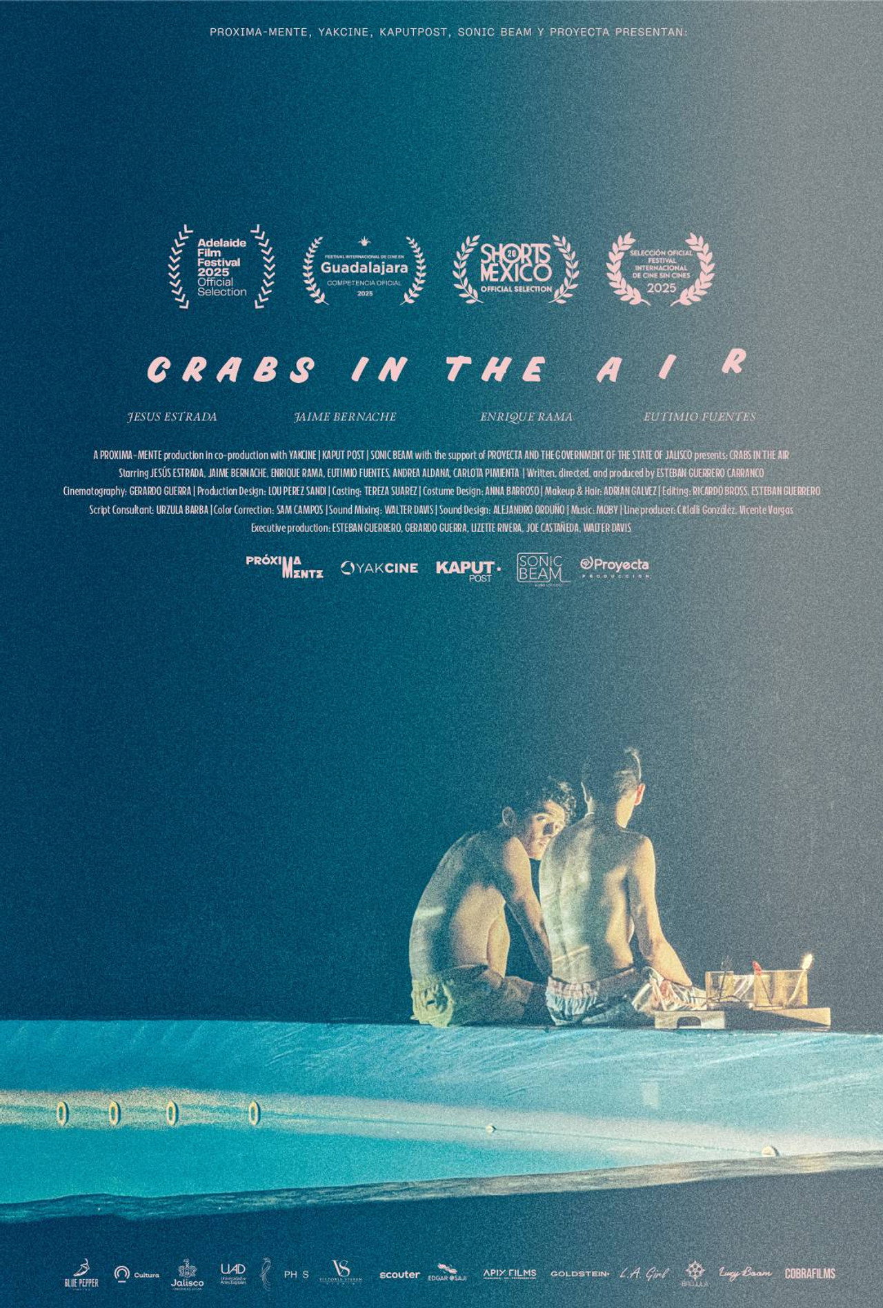 Crabs in the Air