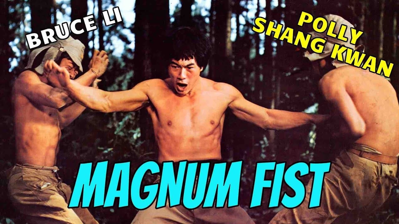 Bruce Li's Magnum Fist Backdrop Image