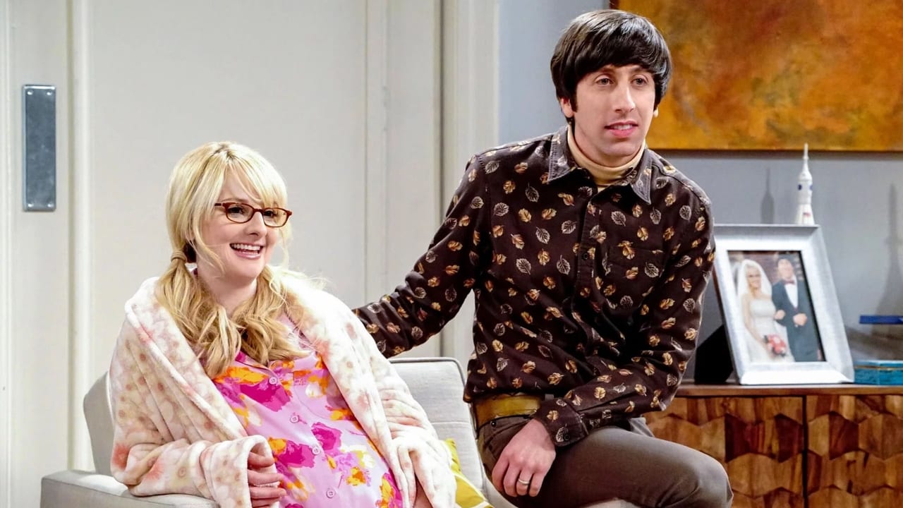 The Big Bang Theory - Season 11 Episode 16 : The Neonatal Nomenclature