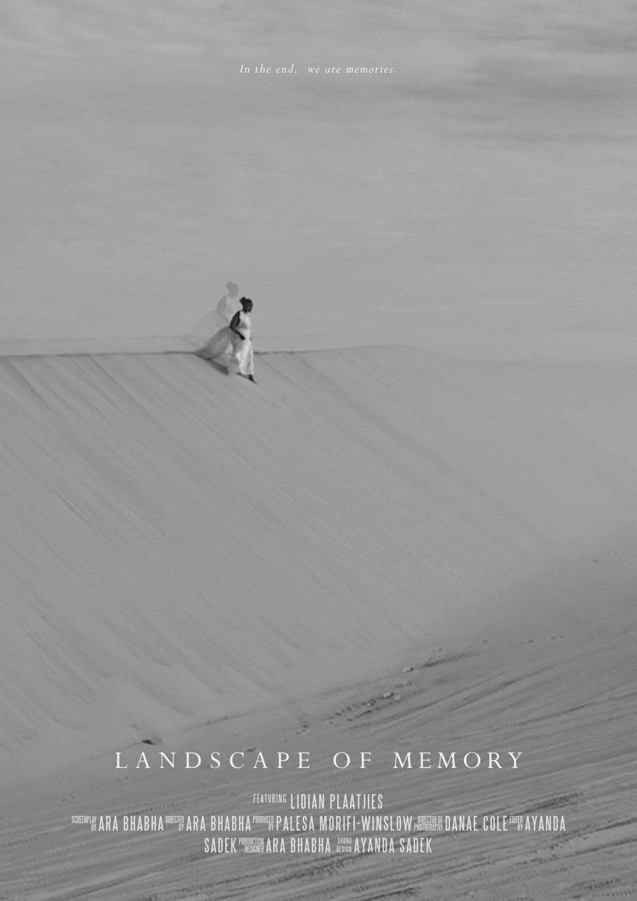 Landscape of Memory filmaffisch