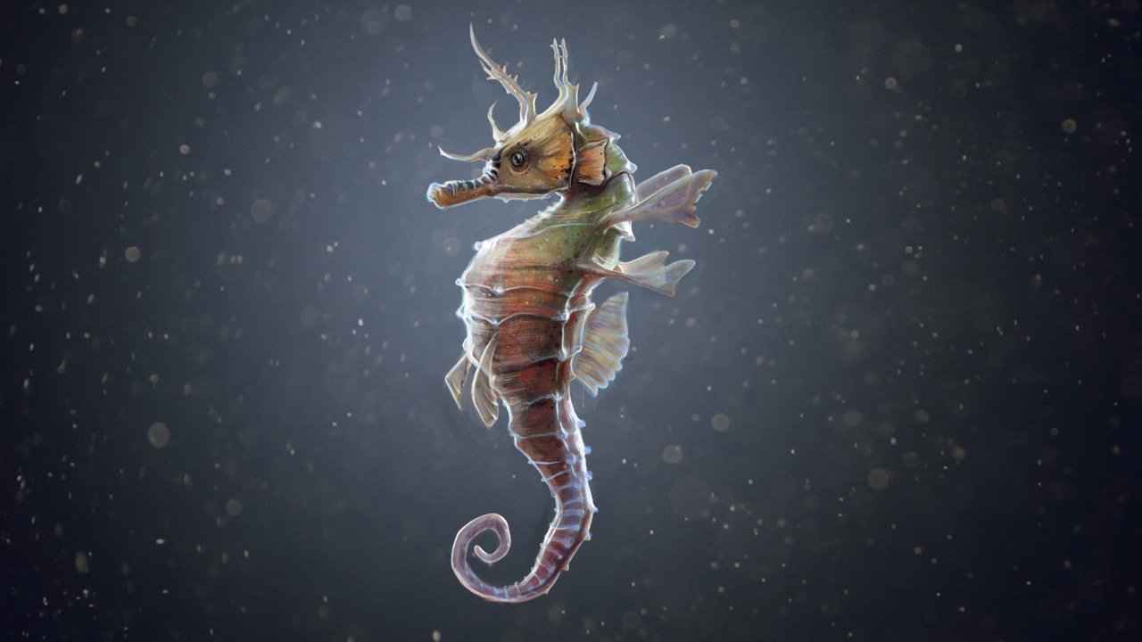 The Seahorse Trainer backdrop