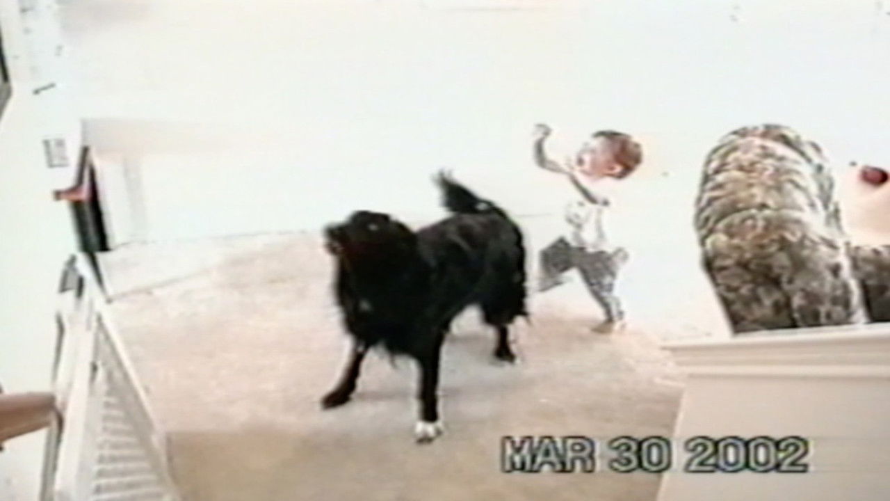 Funniest Pets & People — Épisode 6