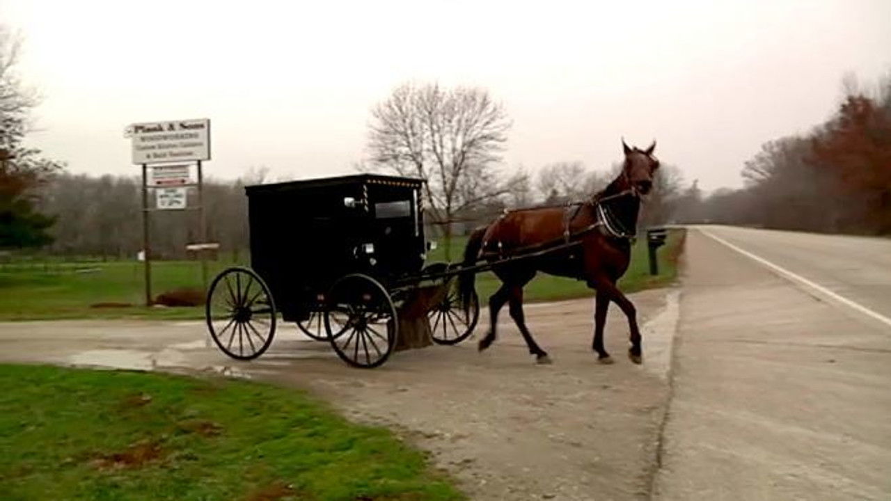 Callejeros viajeros — Épisode 20