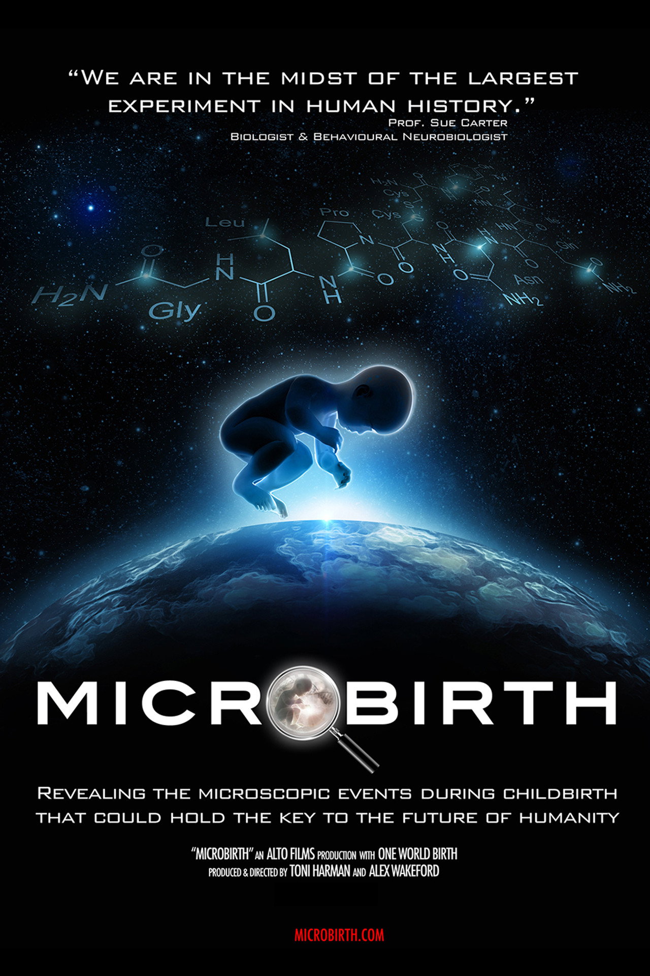 Microbirth filmaffisch