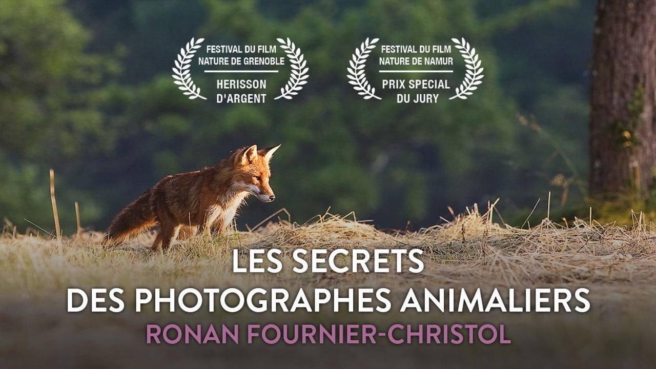 Les secrets des photographes animaliers Backdrop Image