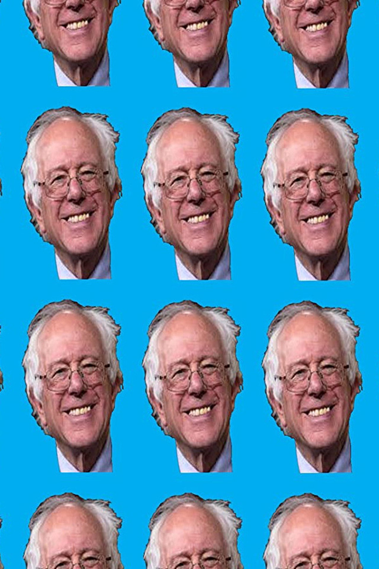 Longshot... The Biopic of Senator Bernie Sanders Campaign 2016 for POTUS Backdrop