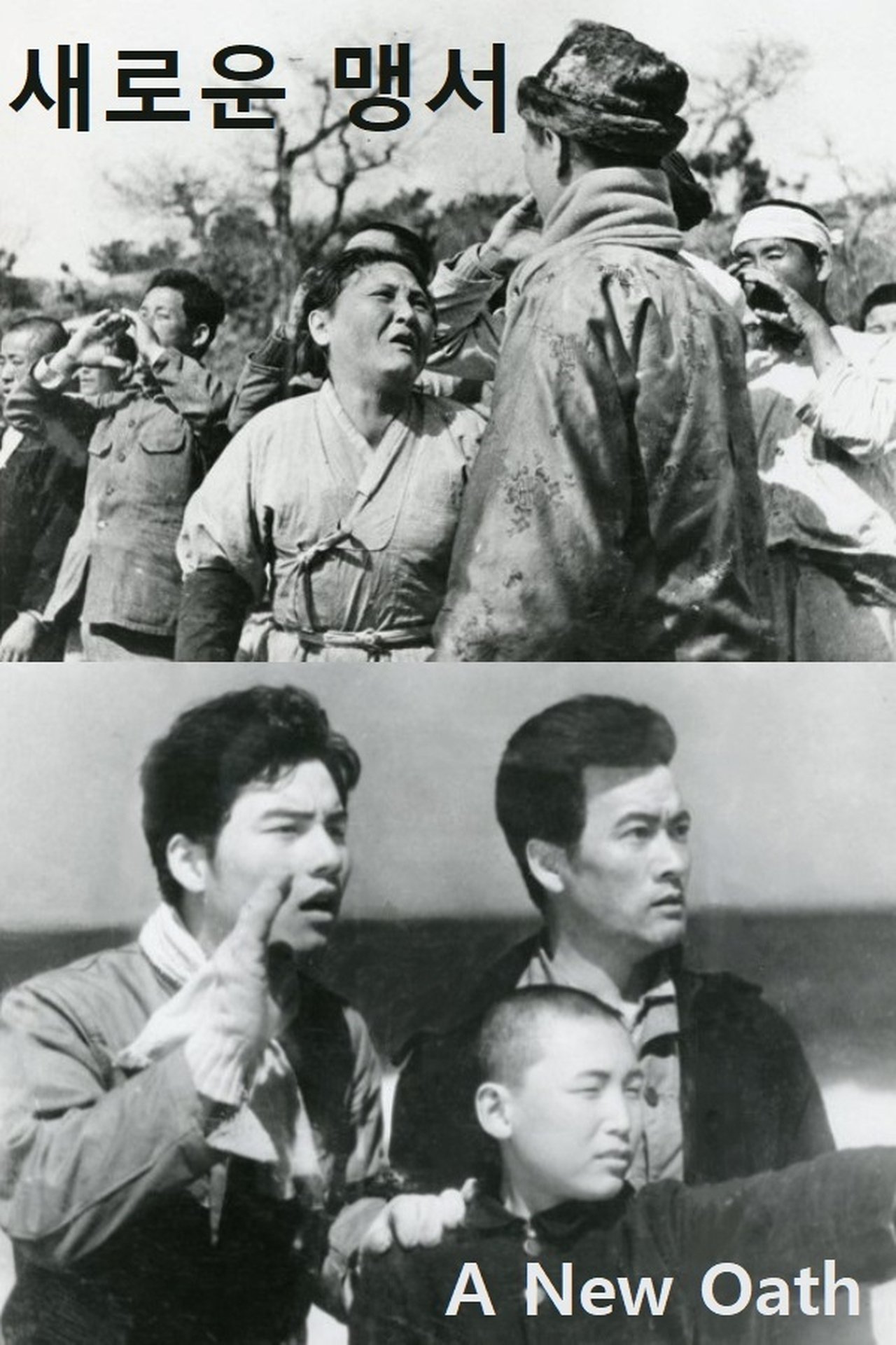 새로운 맹서 새로운 맹서