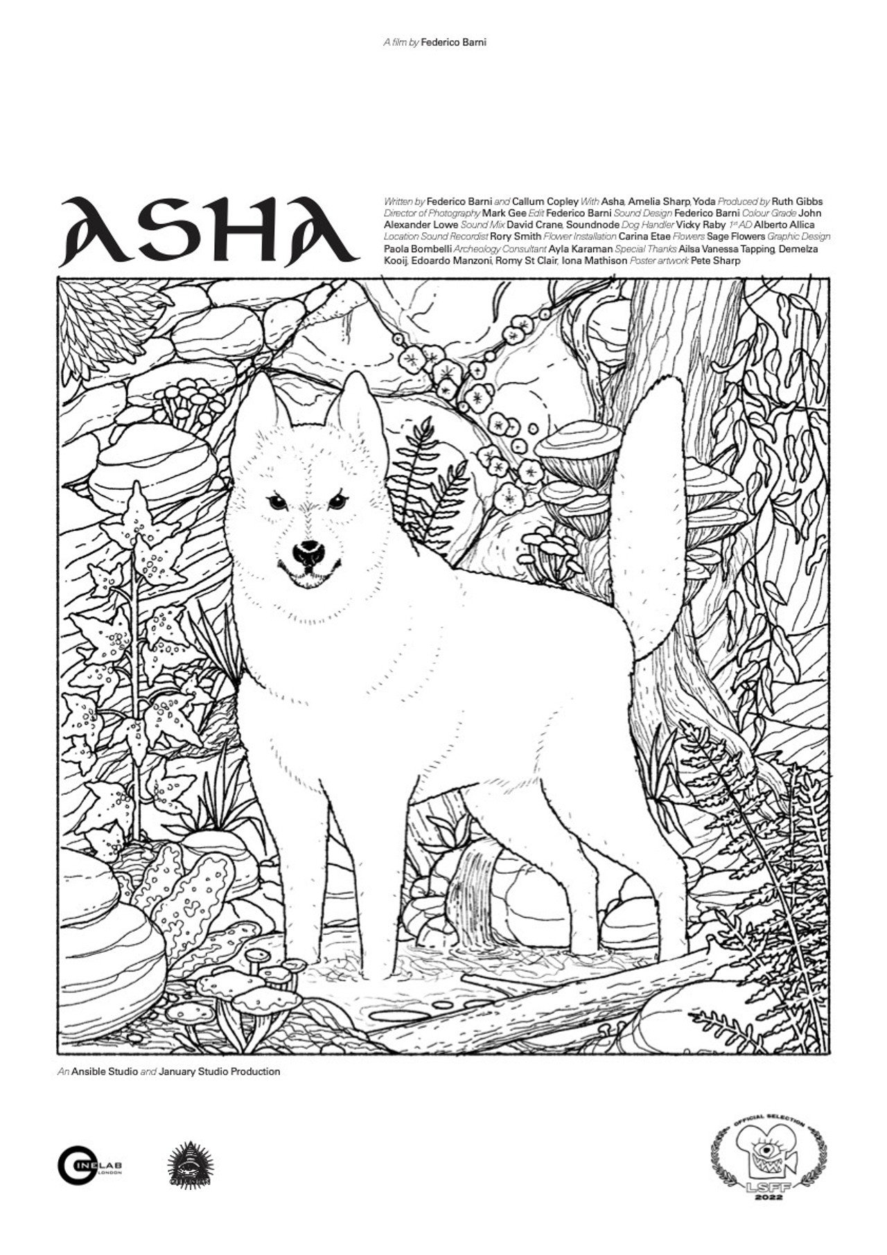 Asha filmaffisch