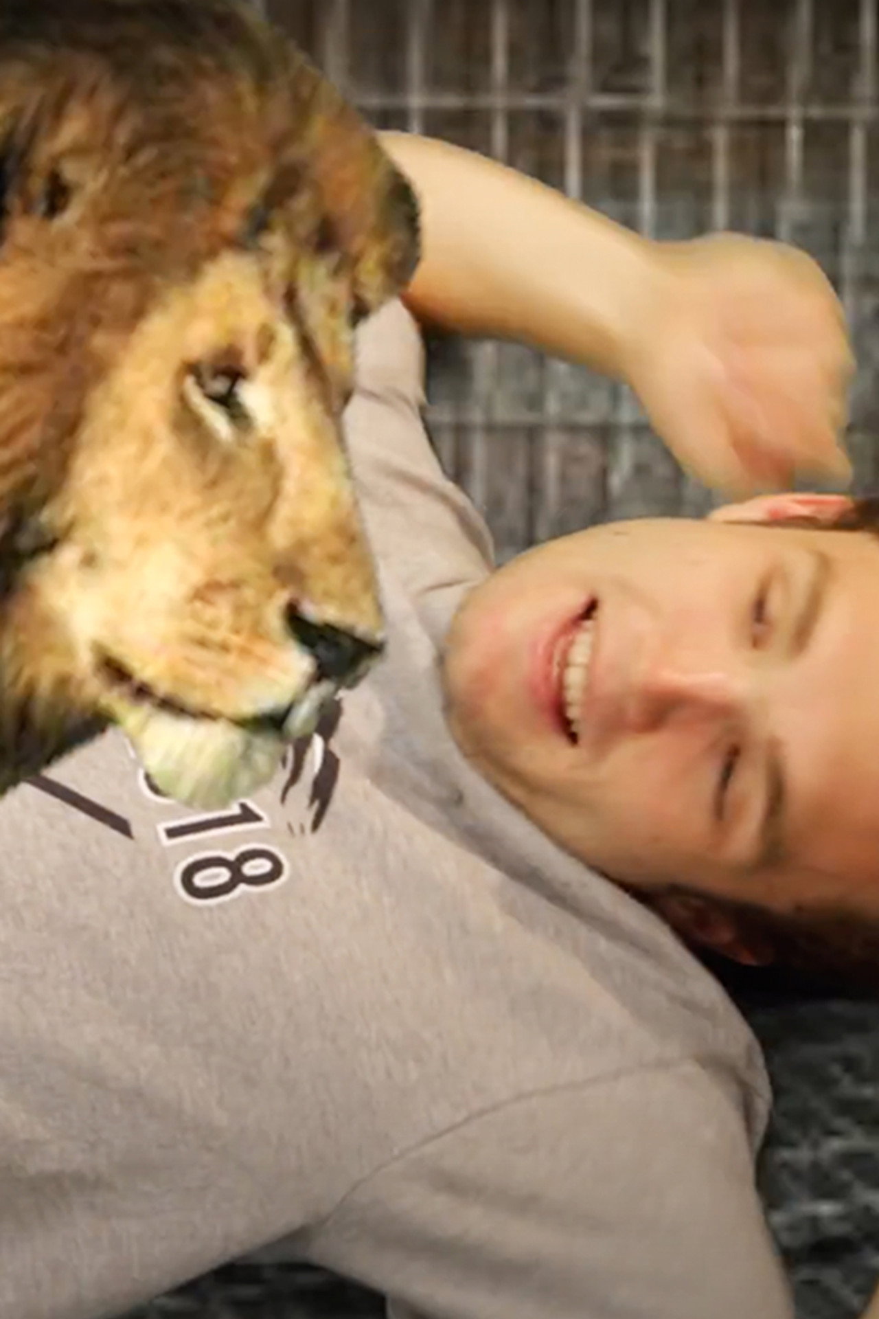 First Day as a Lion Tamer: a Tragedy by Alex Fleck Backdrop