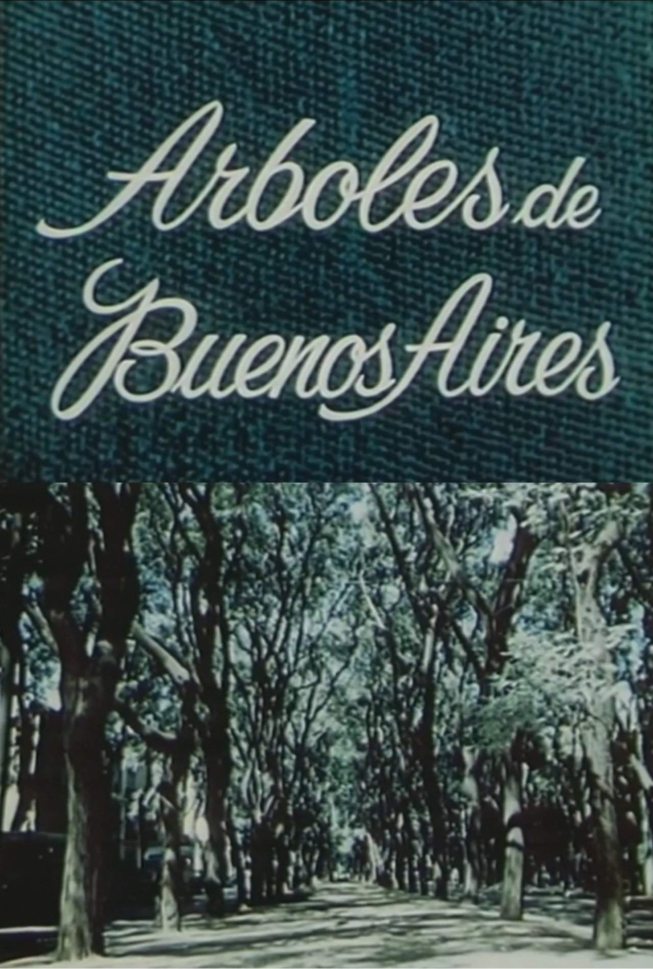 The trees of Buenos Aires Backdrop
