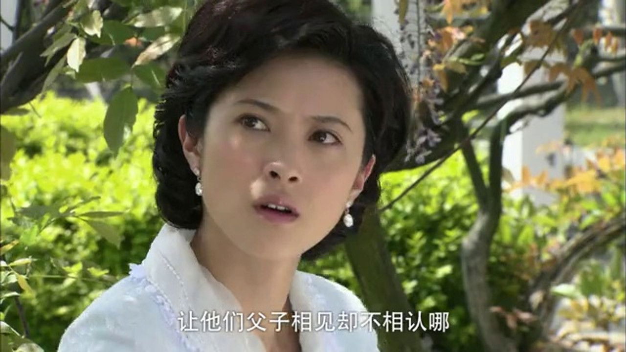 天涯赤子心 — Épisode 30