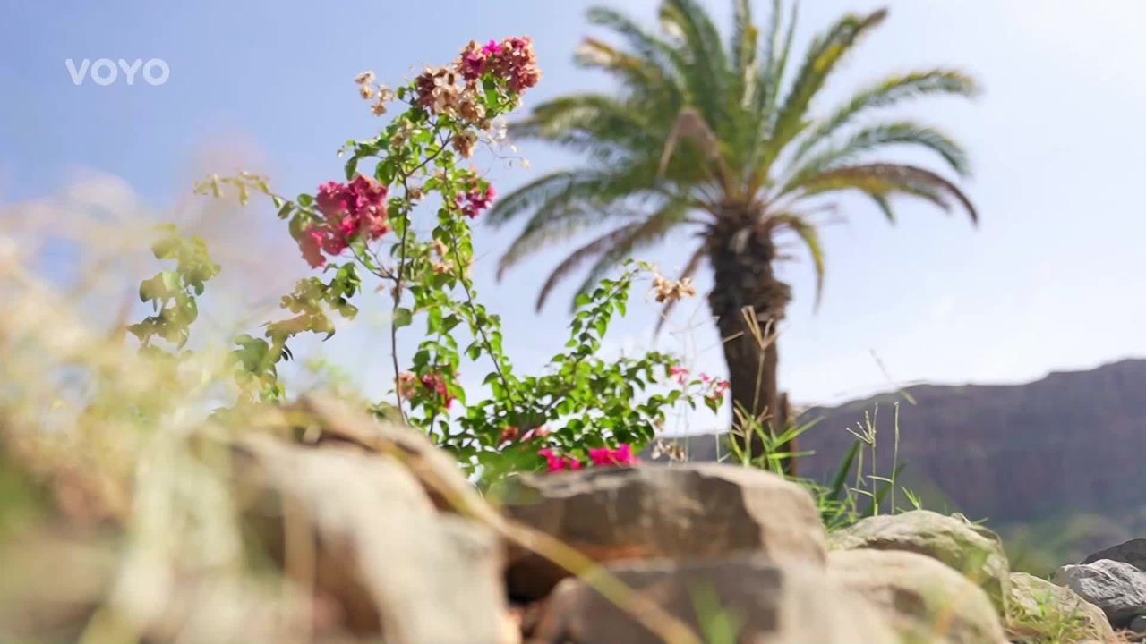 Love Island - Season 2 Episode 32 : Episode 32