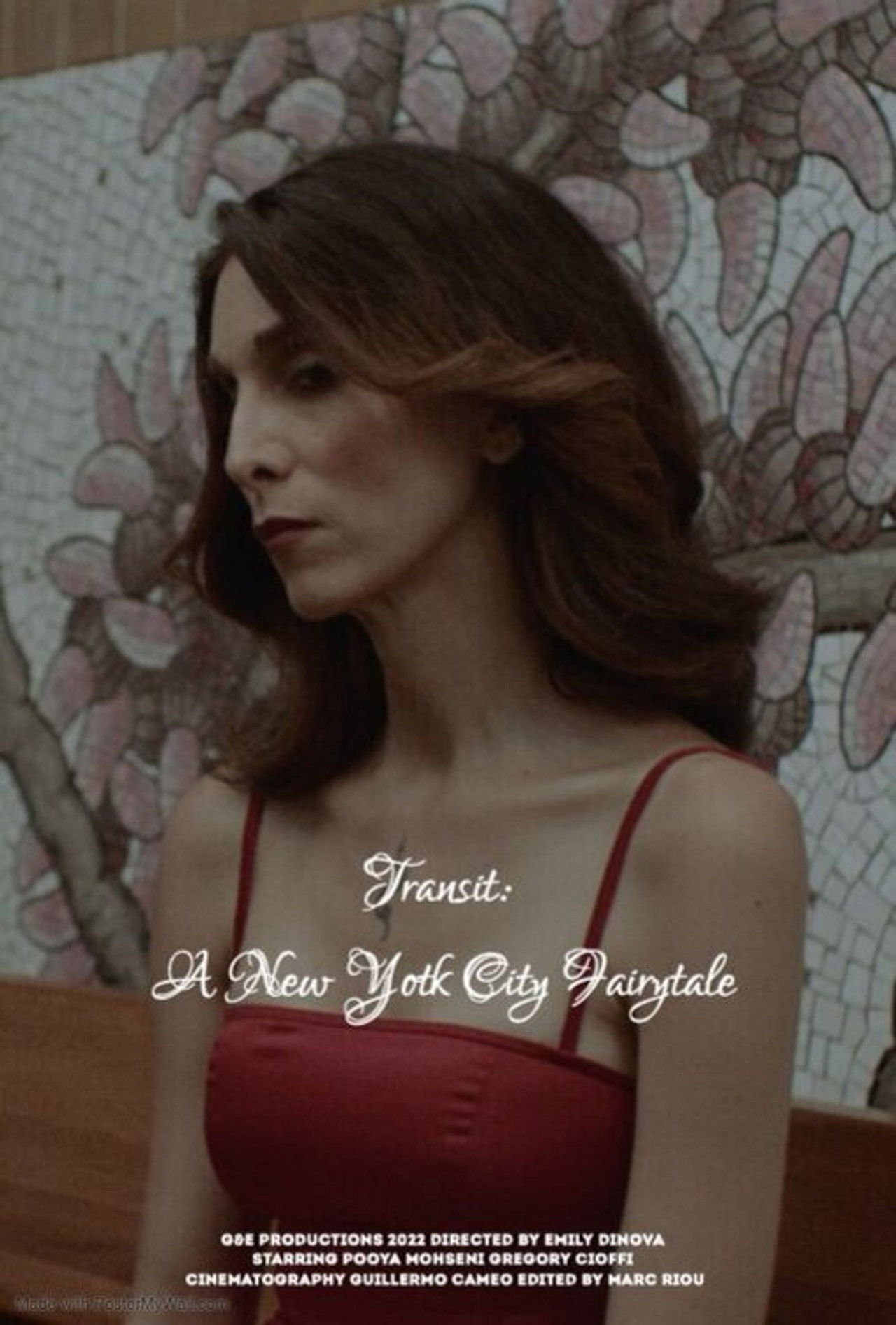 Transit: A New York City Fairytale Backdrop