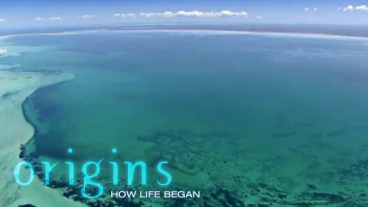 NOVA - Season 32 Episode 2 : Origins: How Life Began