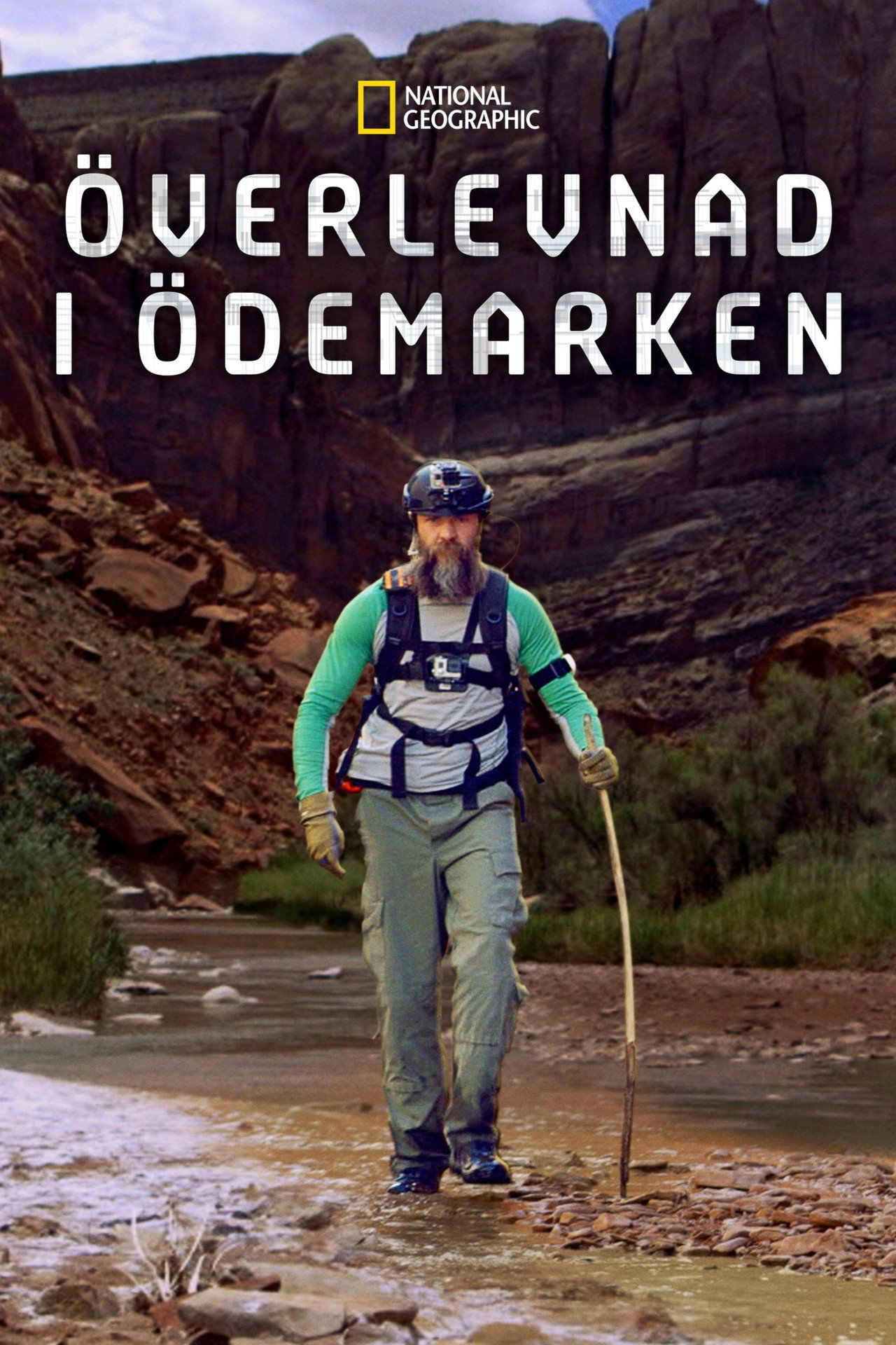 Remote Survival affisch