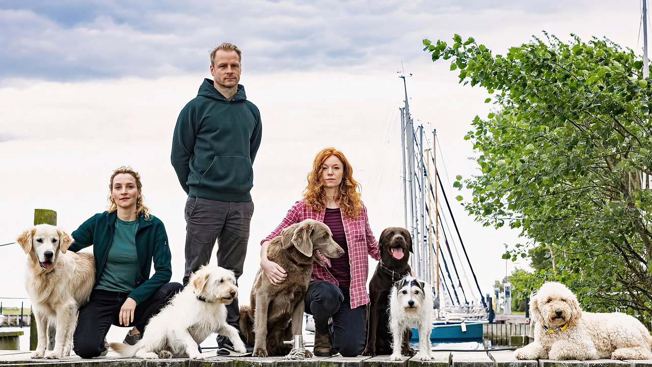 Nord bei Nordwest — still 13