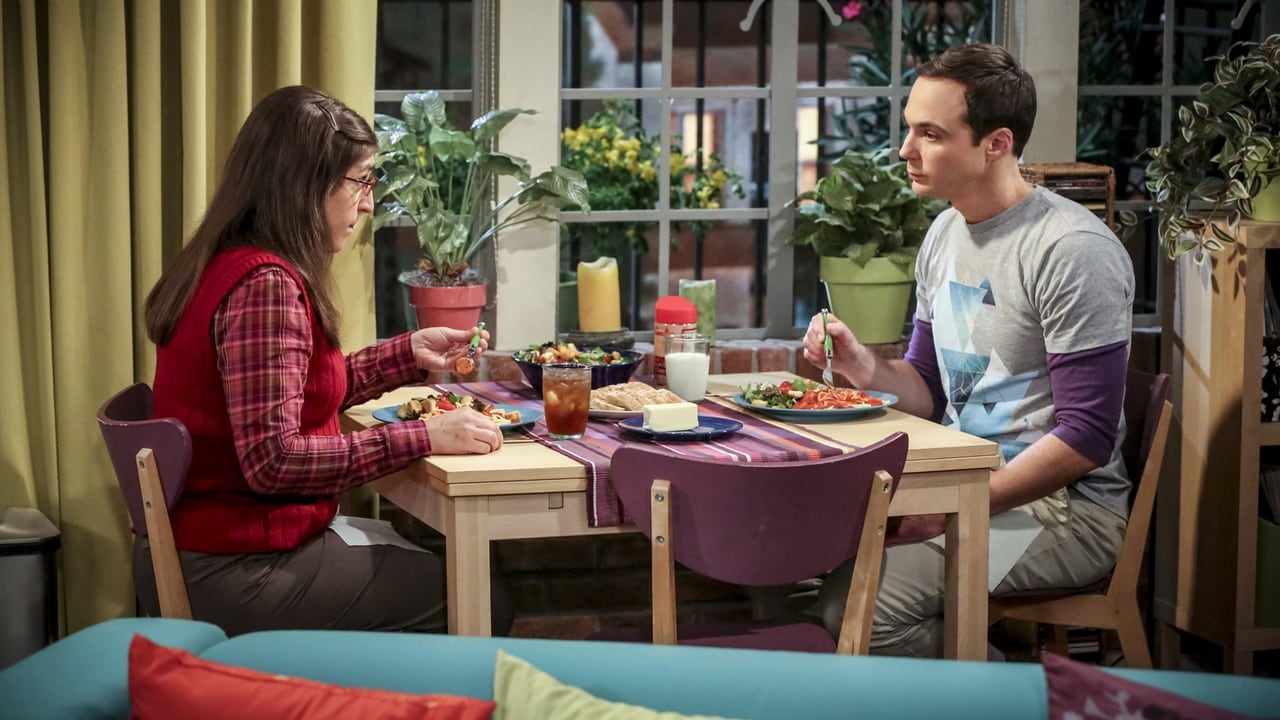 The Big Bang Theory - Season 10 Episode 6 : The Fetal Kick Catalyst