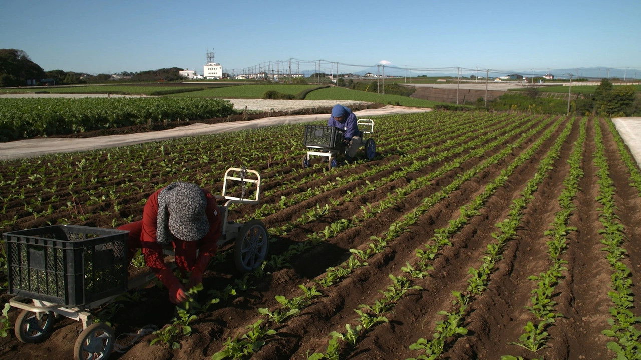 新日本風土記 — Épisode 21