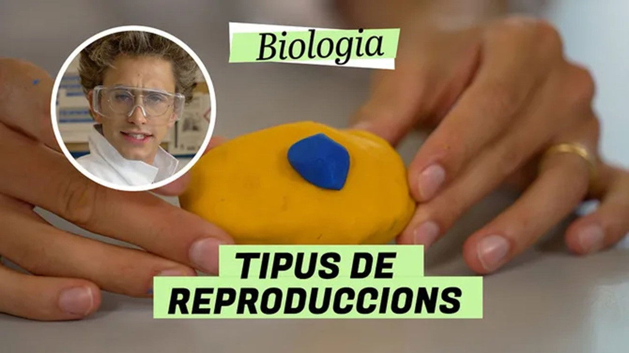 Biologia — Épisode 19
