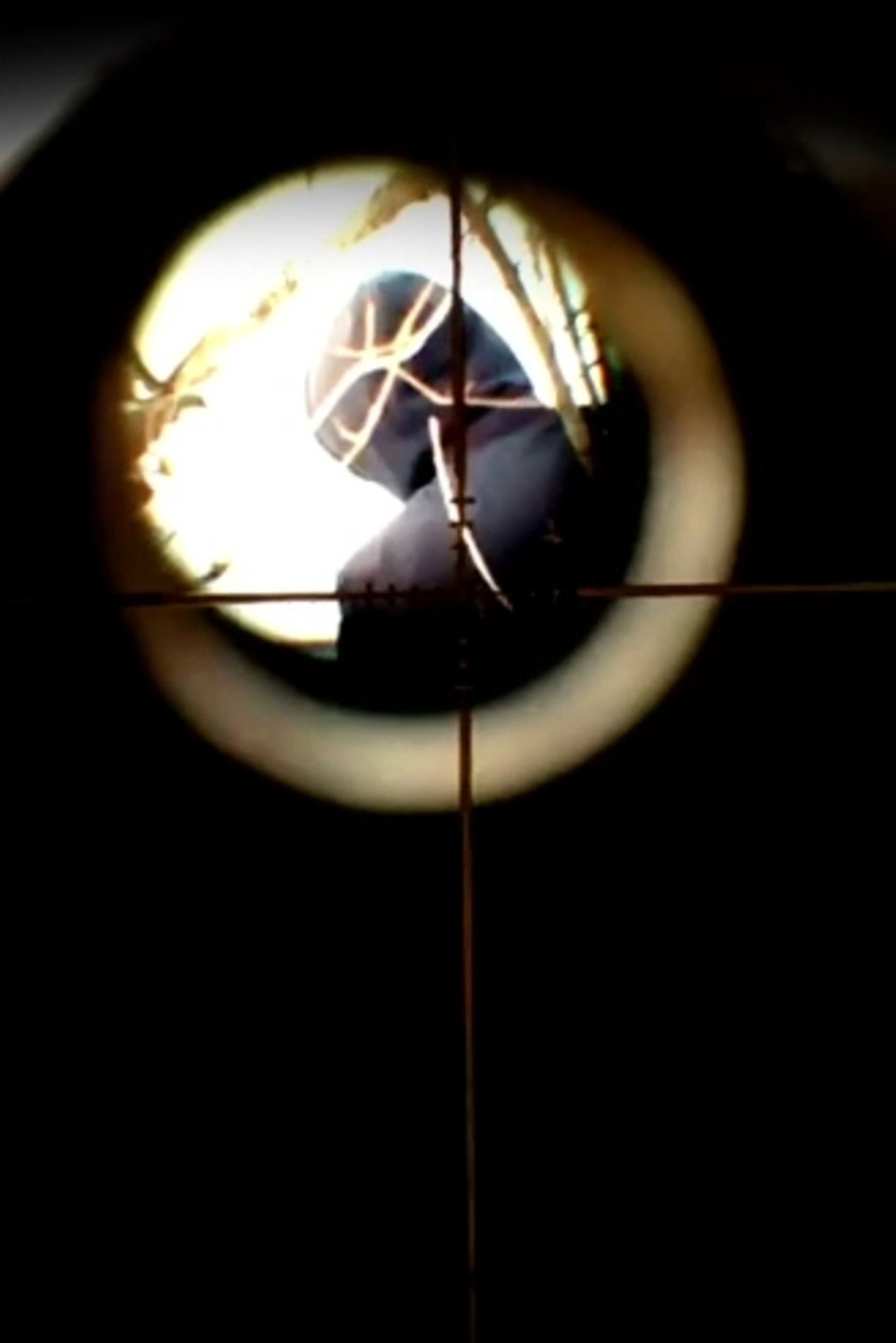 Shockwave: Chapter 2 Backdrop