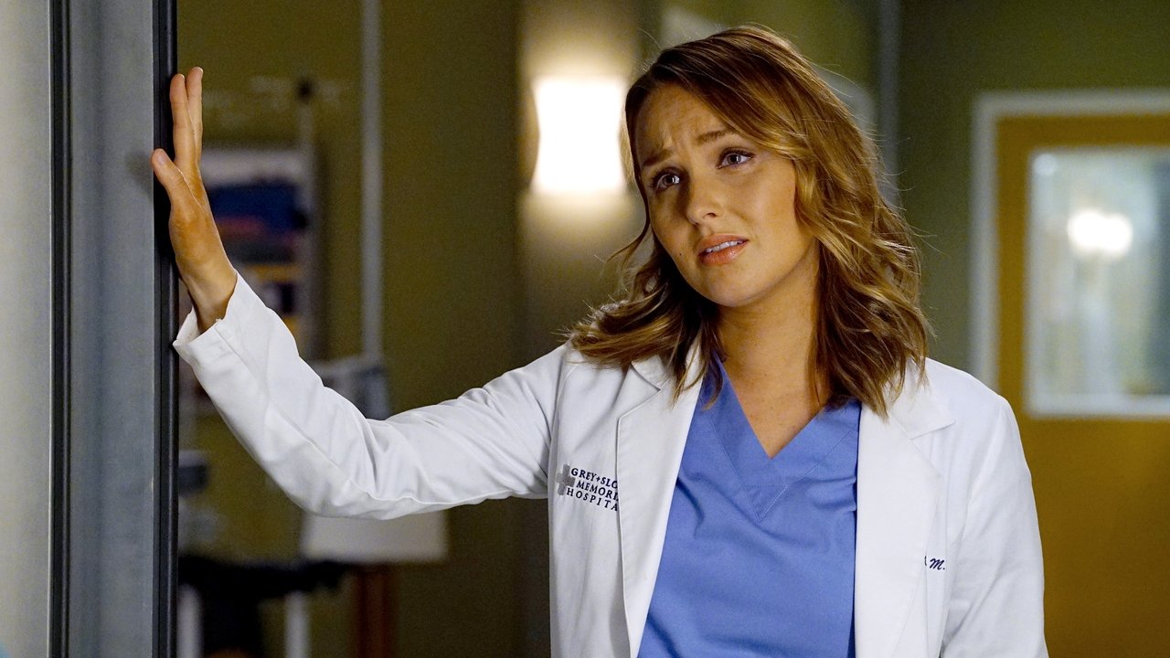 Grey's Anatomy - Season 13 Episode 9 : You Haven't Done Nothin'