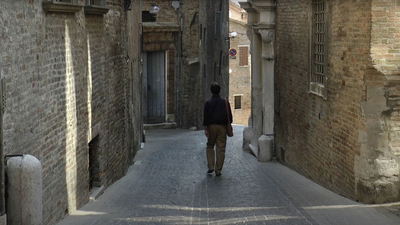 L'architetto di Urbino