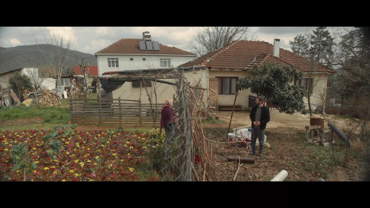 scenes 33