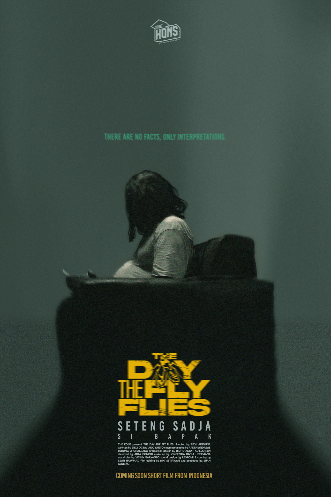 The Day The Fly Flies filmaffisch