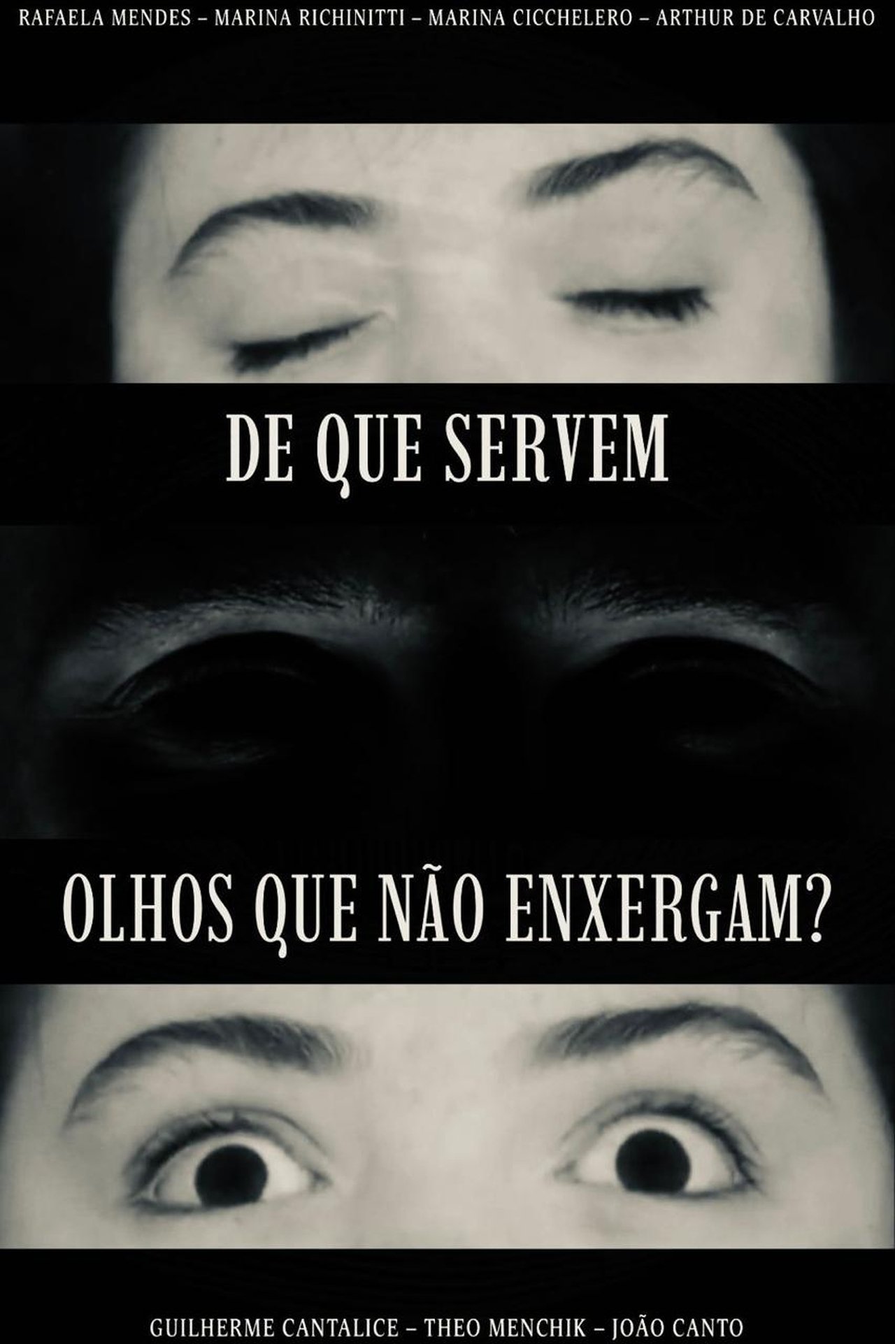 What use Have Eyes that Do Not See? 2025