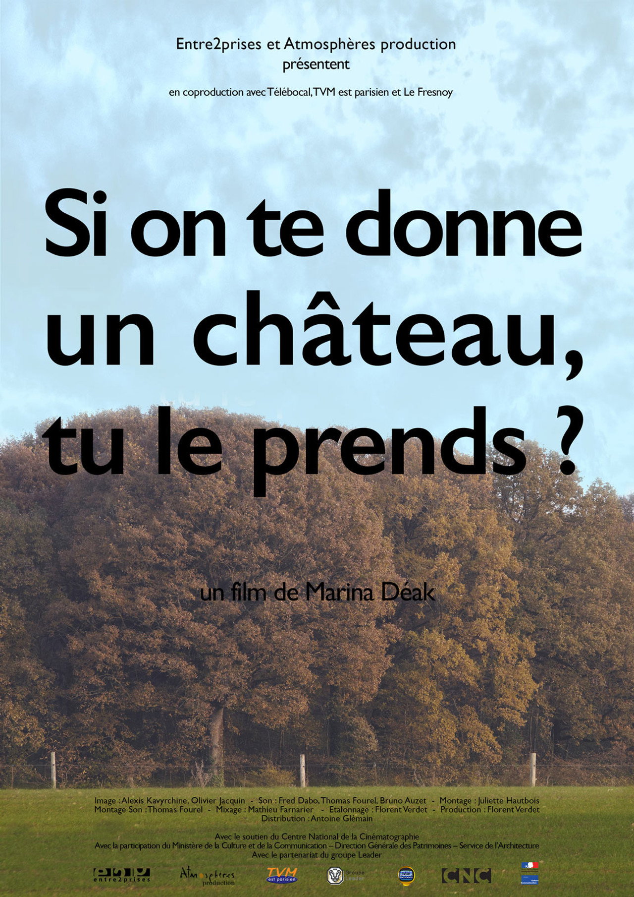 Si on te donne un château, tu le prends? filmaffisch