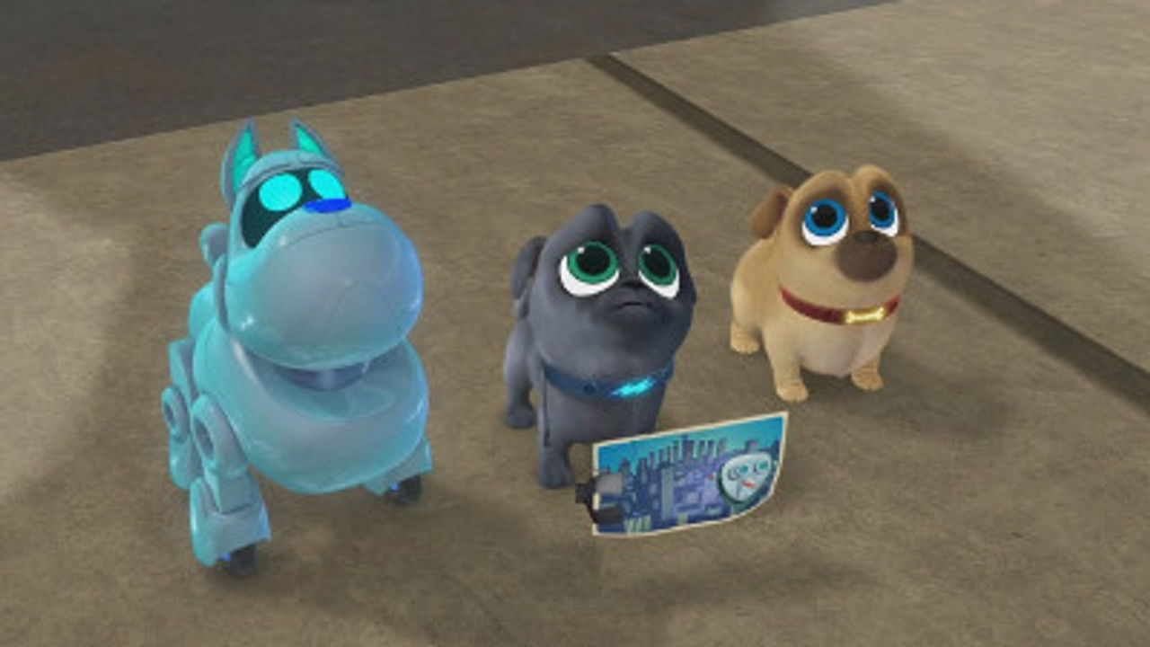 Le monde de Bingo et Rolly — Le grand défi des chiens