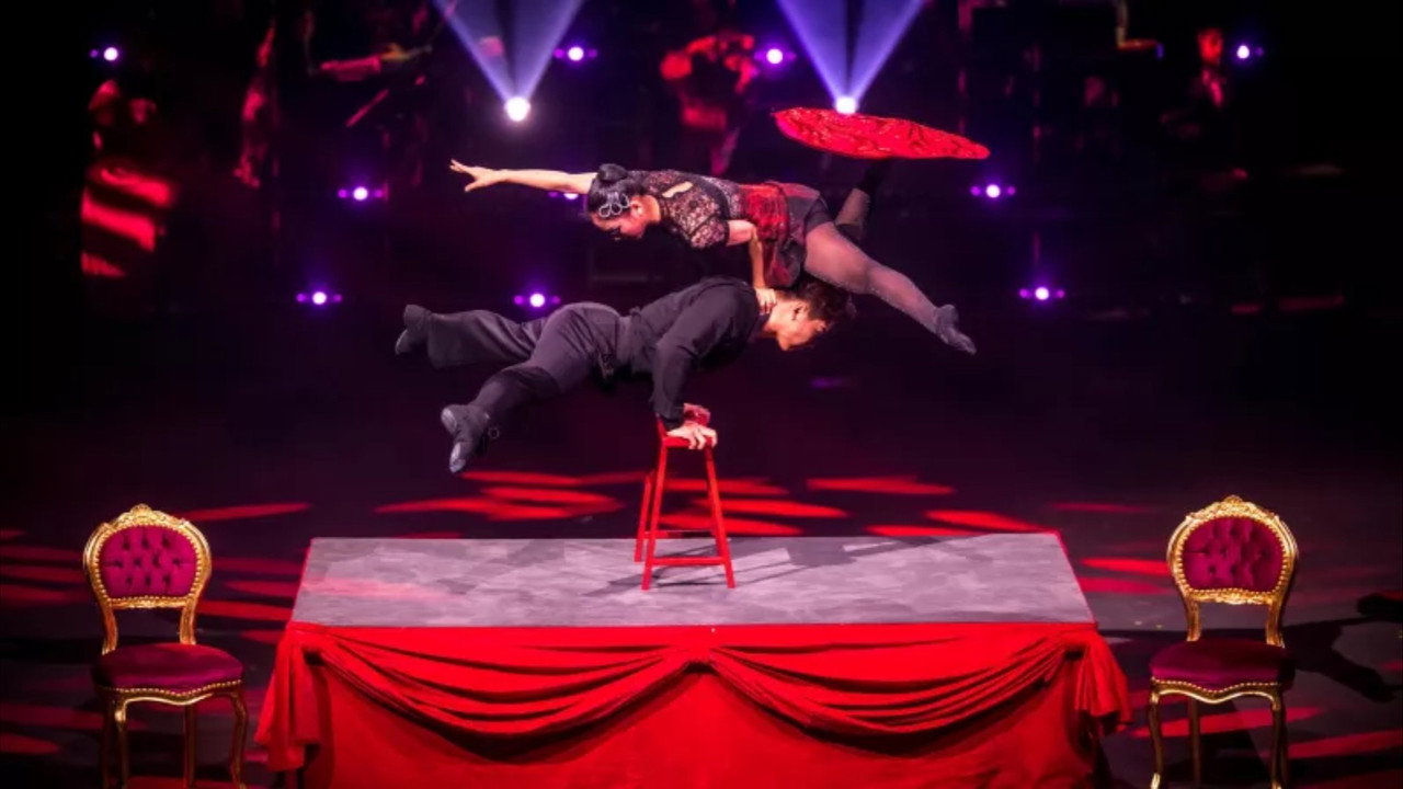 Le Cirque Phénix — 25 ans