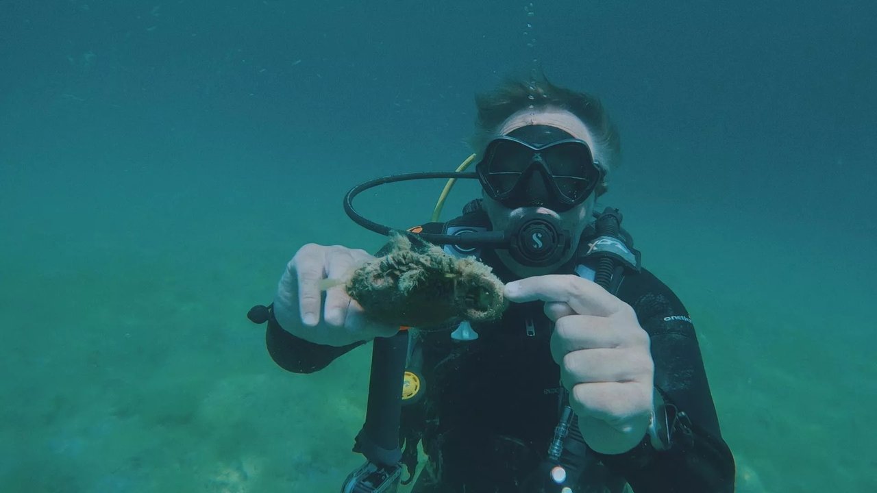 Reizen Waes - Season 9 Episode 9 : Episode 9