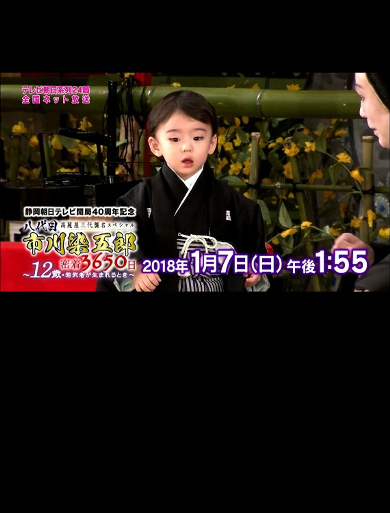 八代目市川染五郎 密着3650日～12歳・若武者が生まれるとき～ Backdrop