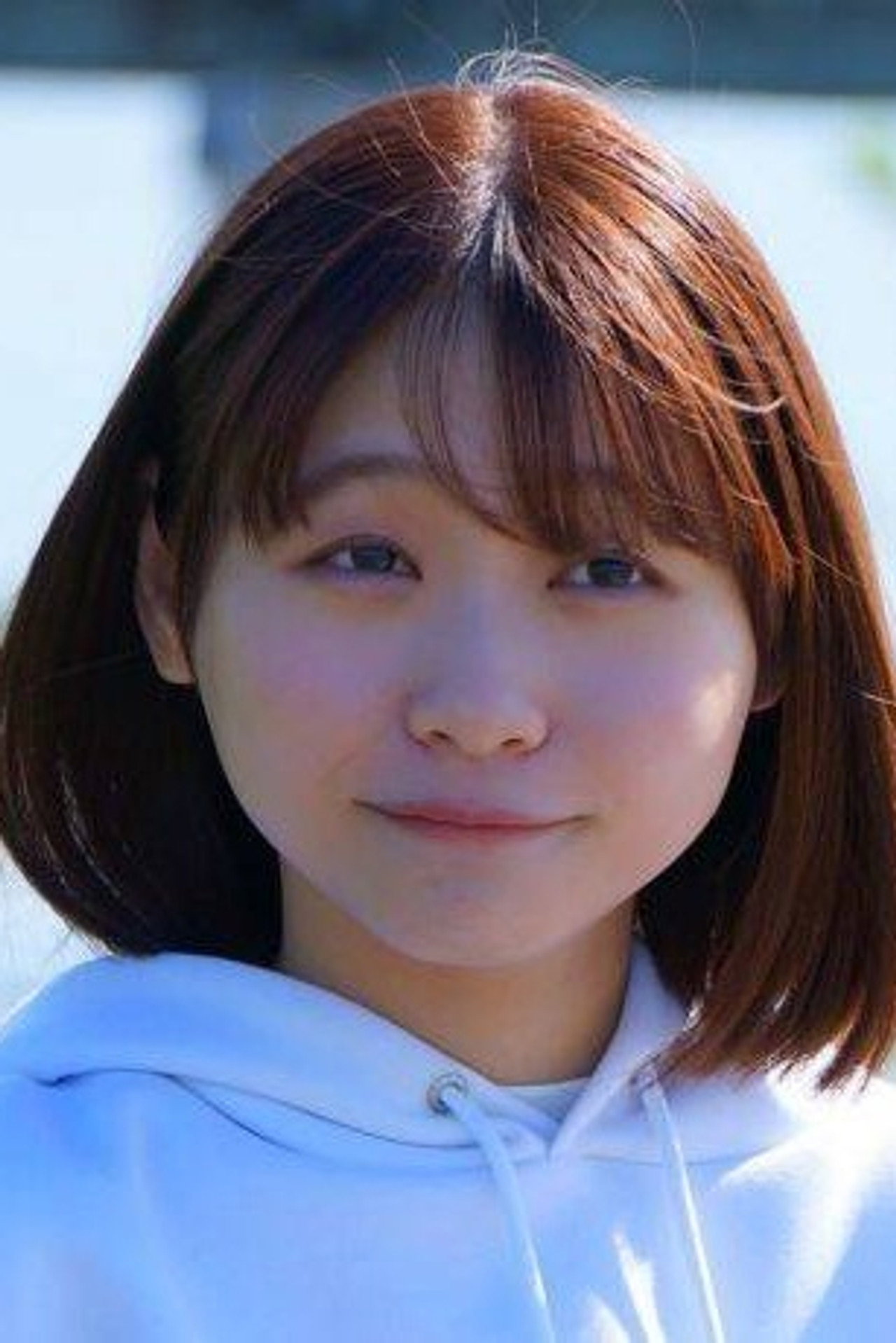 花鳥斗架
