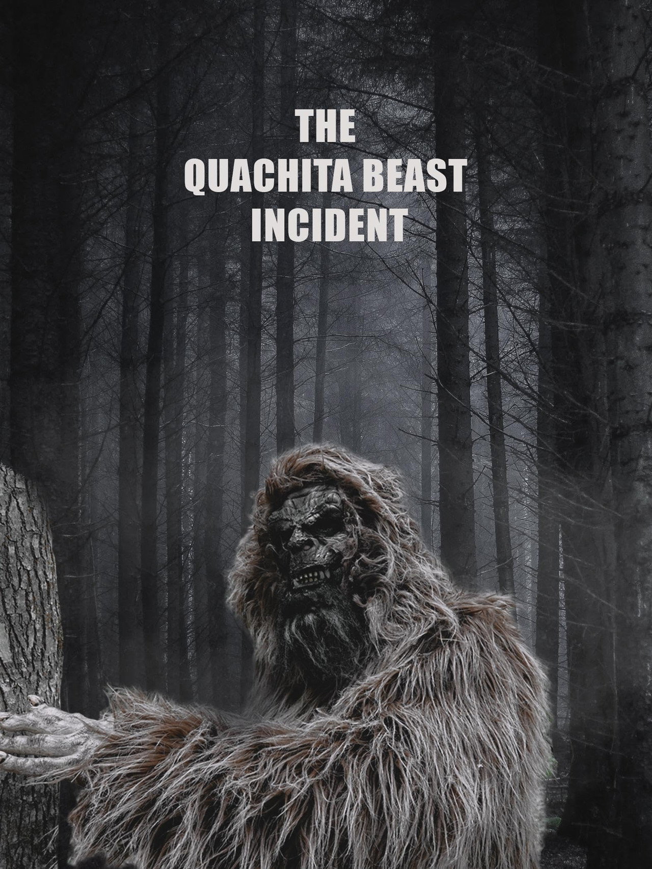 The Quachita Beast Incident filmaffisch