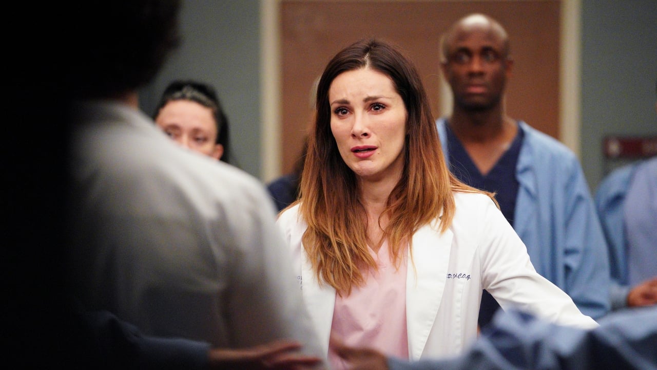 Grey's Anatomy - Season 16 Episode 18 : Give a Little Bit