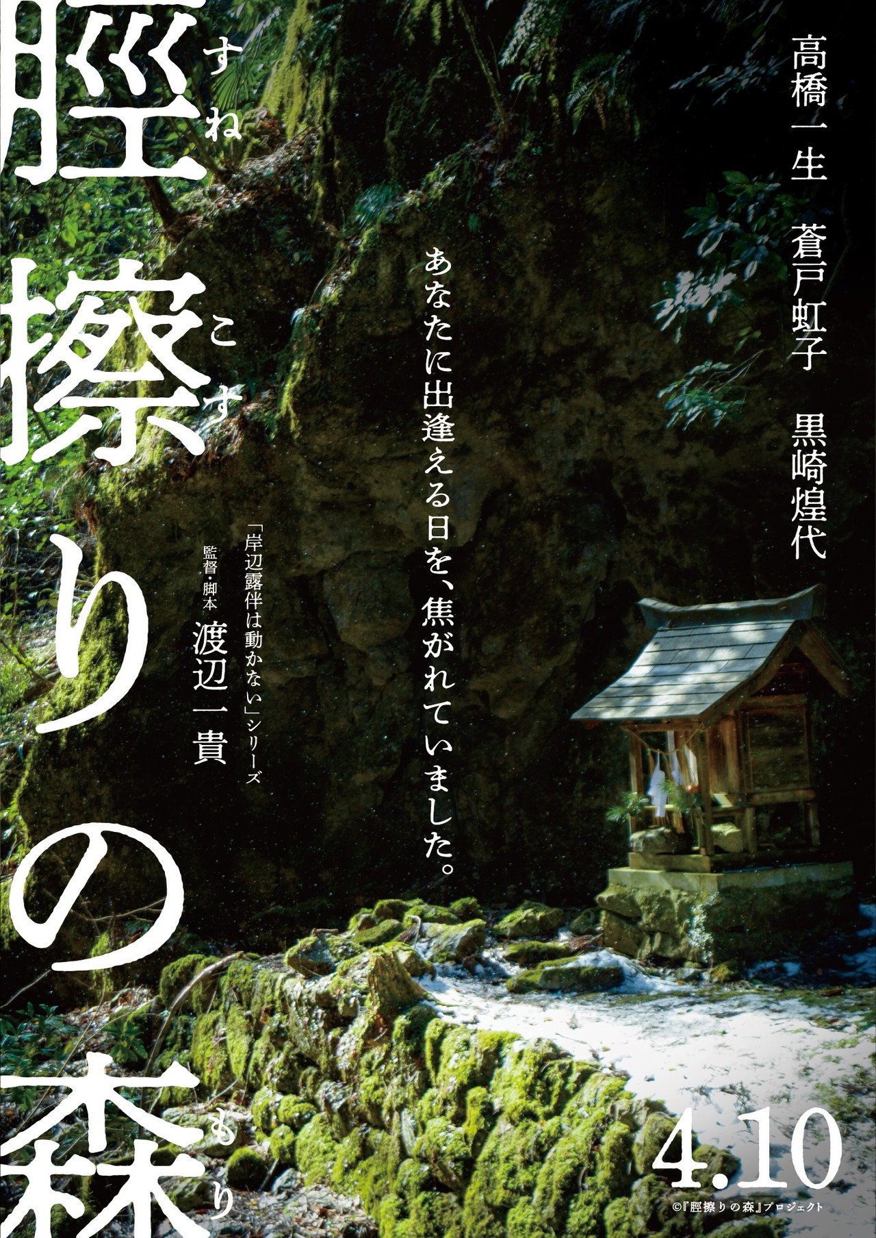 The Forest of Sunekosuri