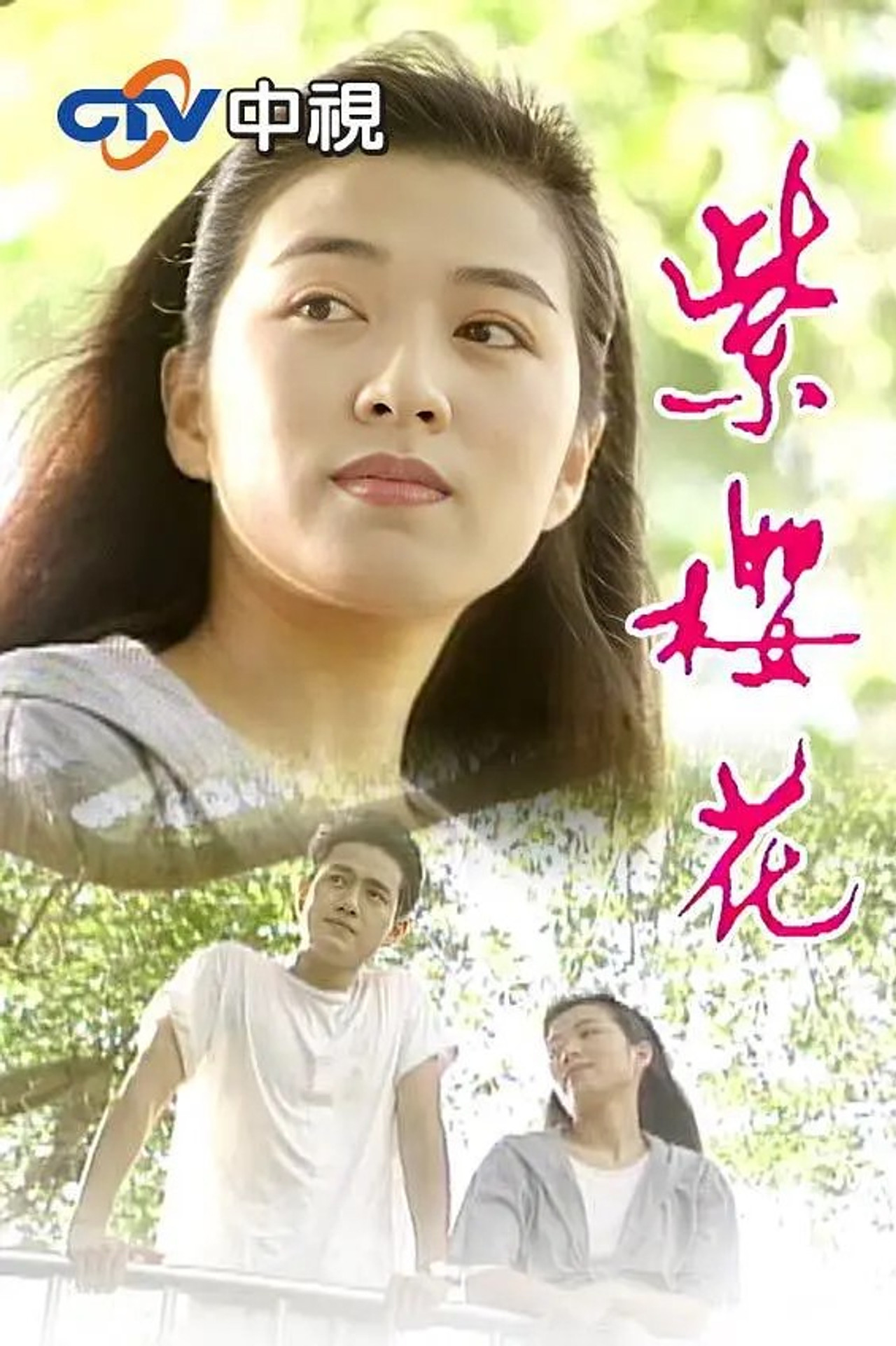 紫樱花 affisch