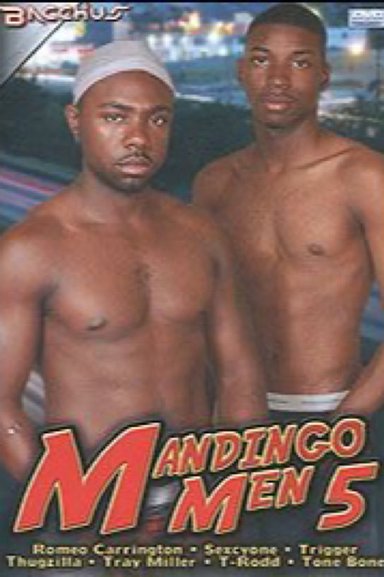Mandingo Men 5 filmaffisch