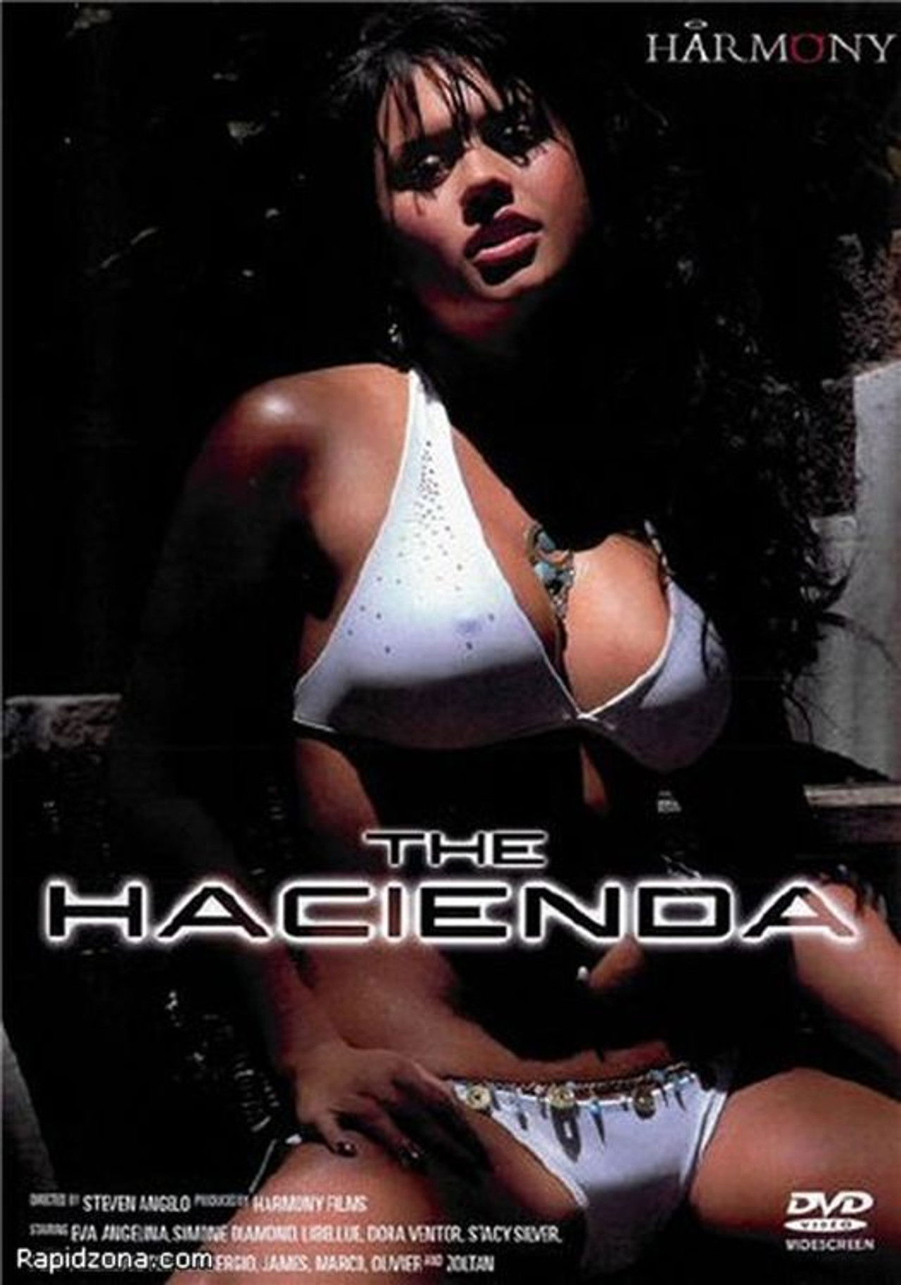 The Hacienda Backdrop