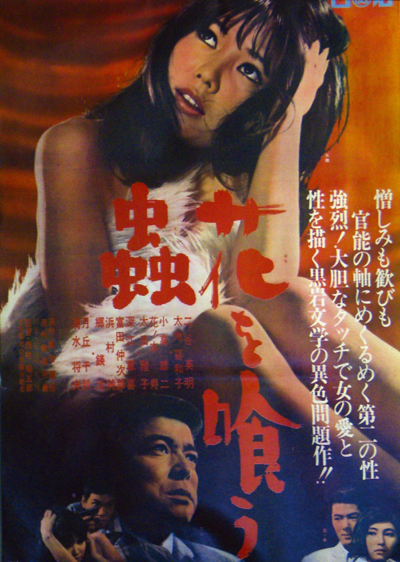 Burning Nature Backdrop