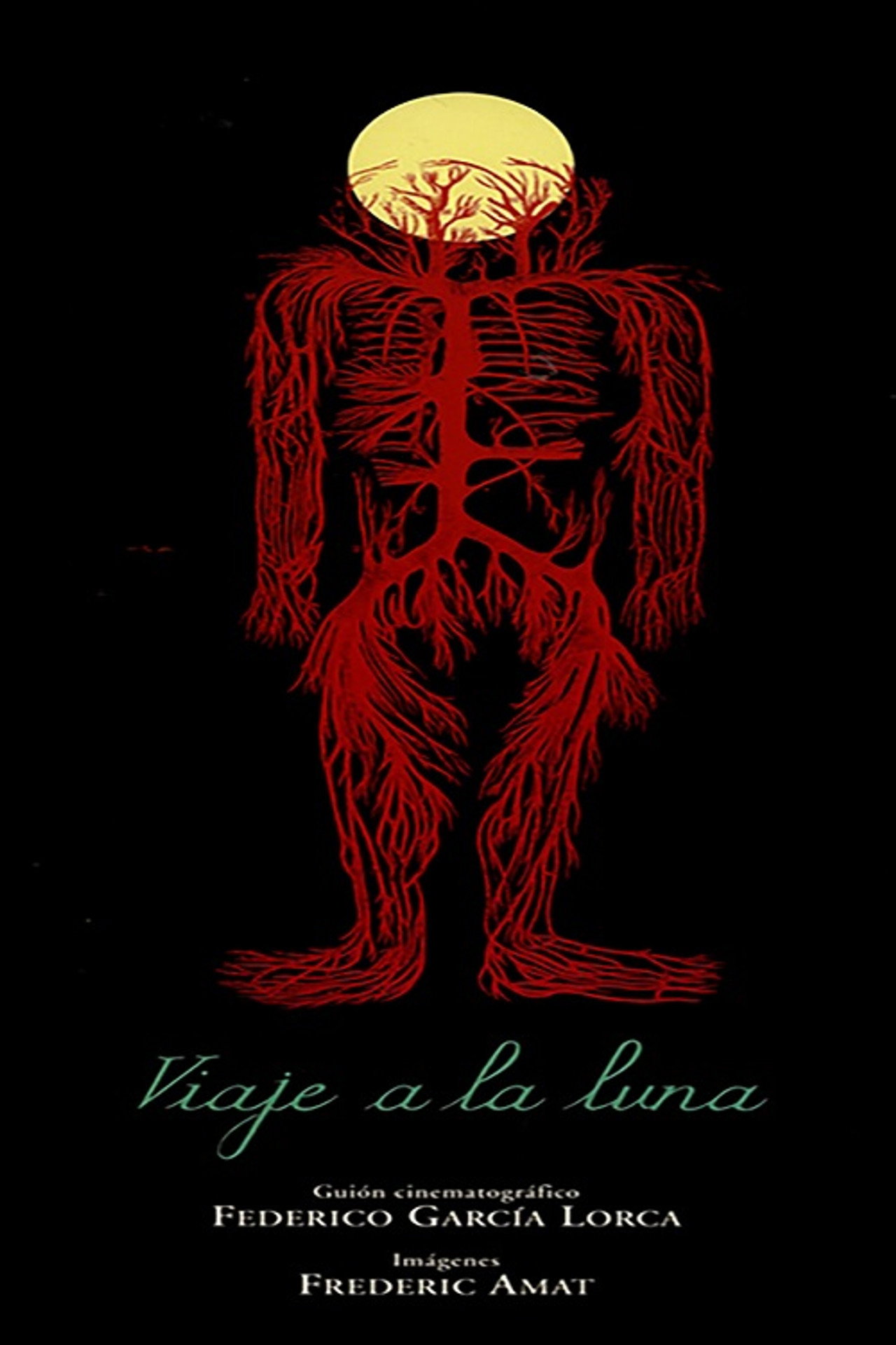 Viaje a la luna Backdrop